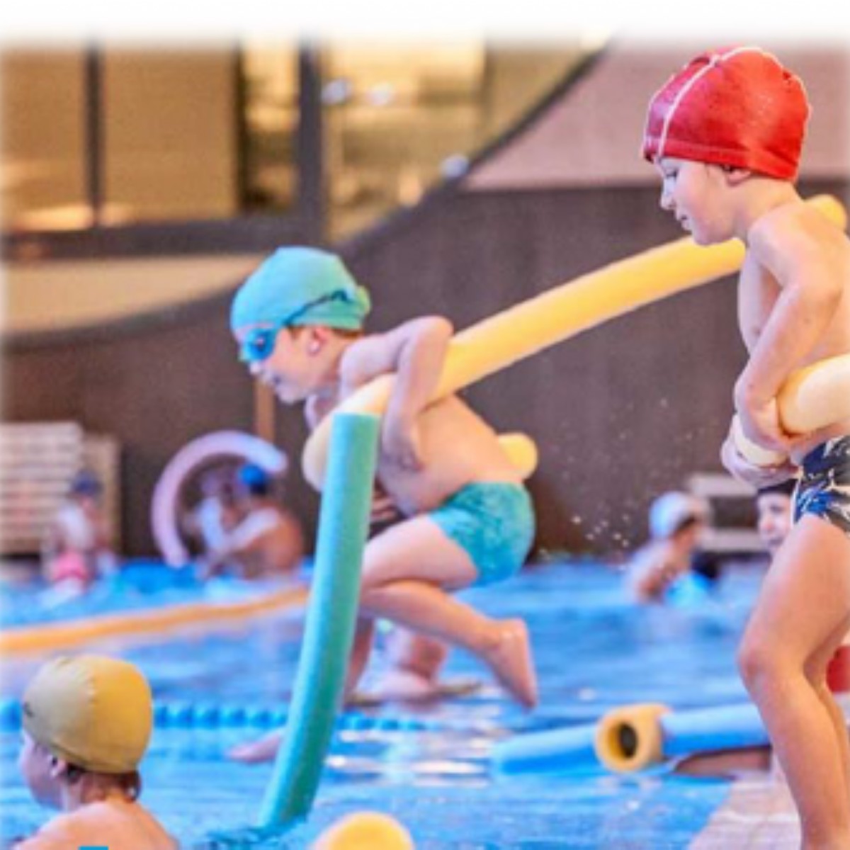 Cursillos Deportivos Municipales: Natación Verano 2026