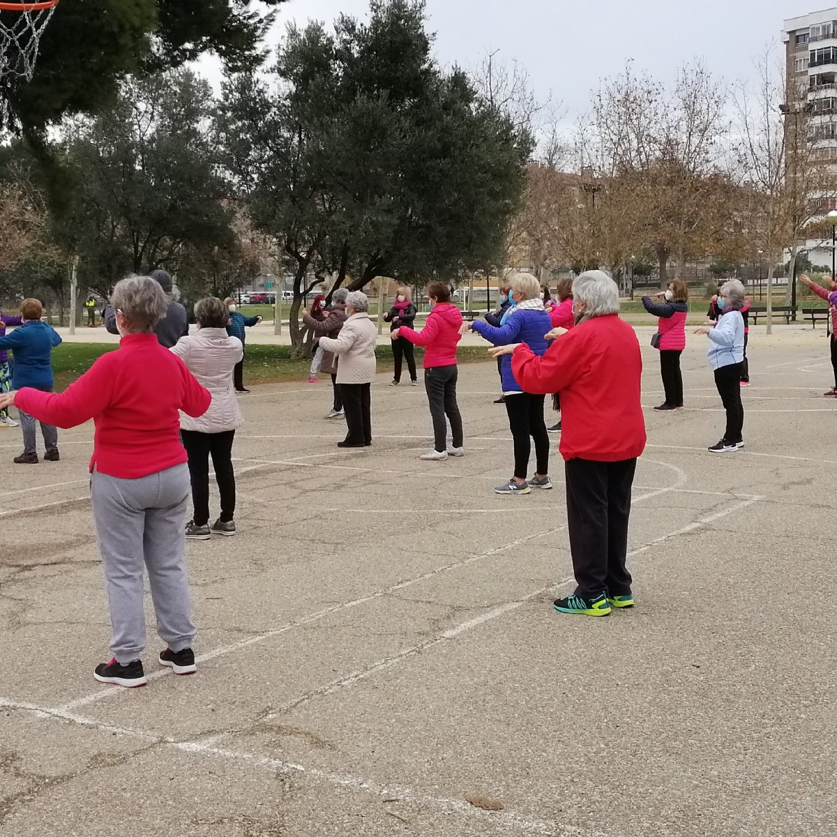 Actividad Física para adultos y seniors en los Parques 2025/2026 