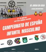 Sector del Campeonato de España Infantil Masculino de Balonmano