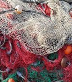 Forever Green y Finetwork transforman redes de pesca rescatadas del océano en mallas de portería para el Estadio del Betis