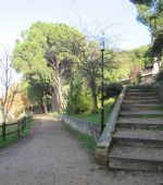 Ruta 6 ZaragozAnda: Ruta por el Canal y los Pinares de Venecia