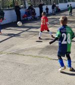 Ayudas al Deporte Federado y Escolar. Curso 2024/25