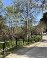 Ruta 7 ZaragozAnda: Estación Goya - La Junquera