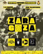 Sector del Campeonato de España Juvenil Femenino de Balonmano