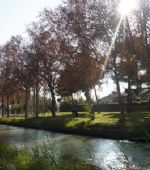 Disfruta de la primavera y de las rutas ZaragozAnda