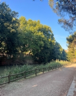 Vídeo de la Ruta 6 ZaragozAnda: Canal Imperial - Pinares de Venecia