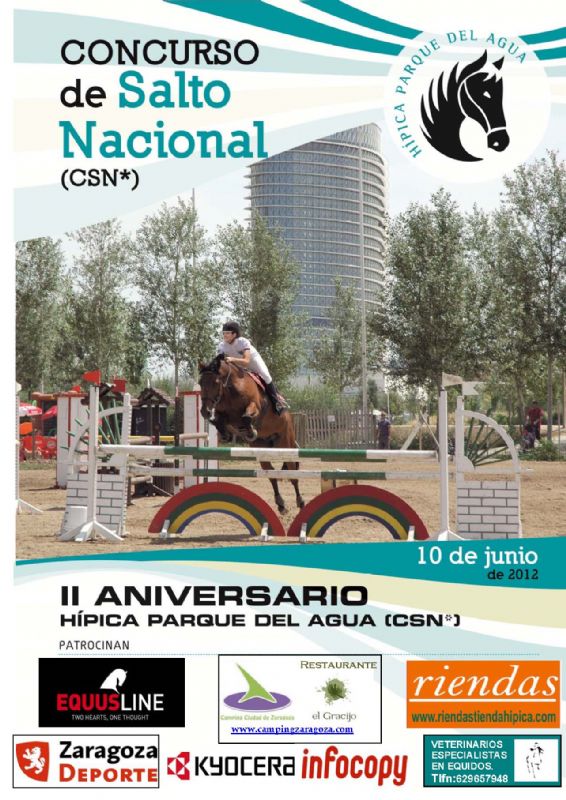 Concurso de Saltos Nacional «II Aniversario Parque del Agua»