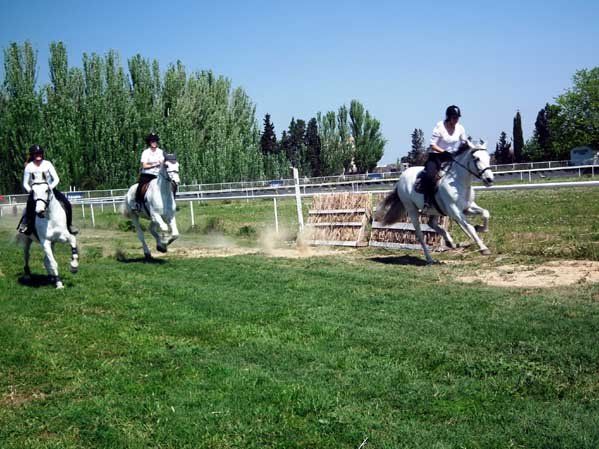Carreras de caballos «Pilar 2012»