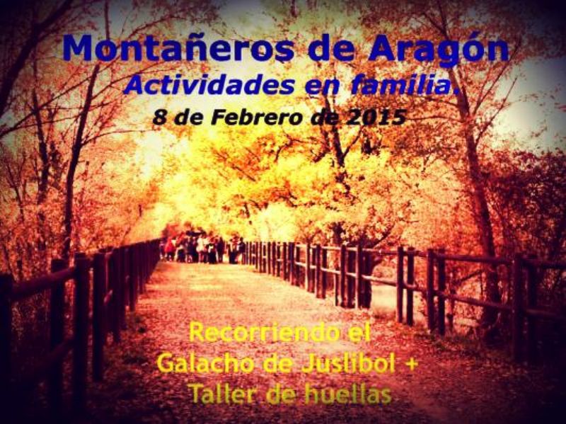 Actividades de la Montaña en Familia: Taller de Huellas - Galacho de Juslibol