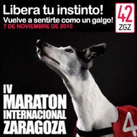 IV MARATÓN DE ZARAGOZA-GRAN PREMIO IBERCAJA