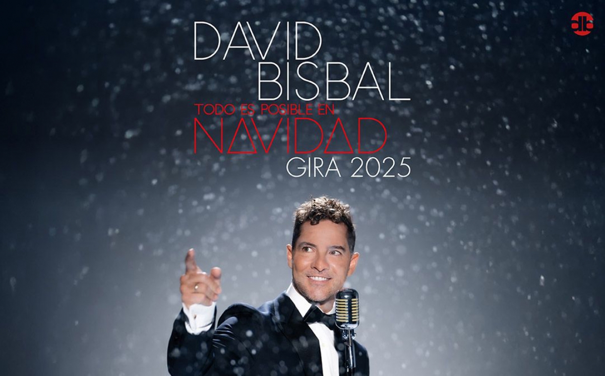 Concierto de David Bisbal