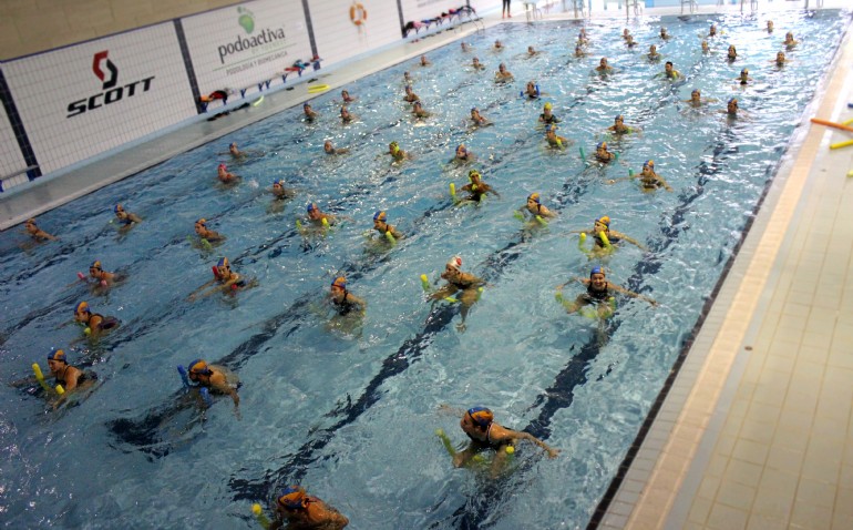 Semblanza y trayectoria de Aguactiva