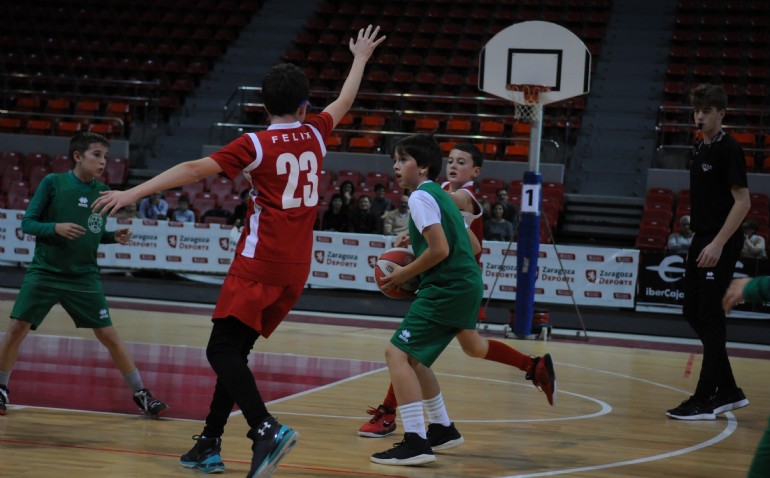 Galerías de fotos del «Día del Minibasket 2019»