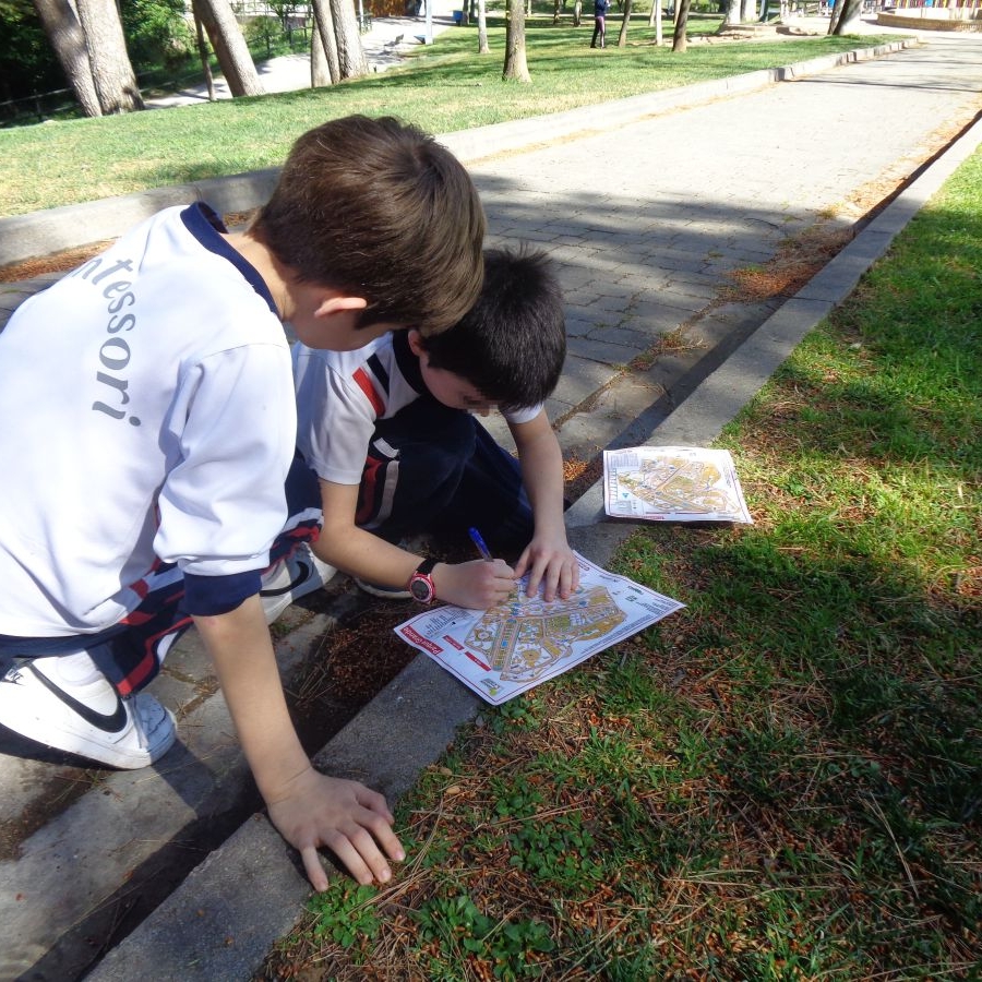 Nuevo éxito de la actividad escolar «Orientación en los Parques»