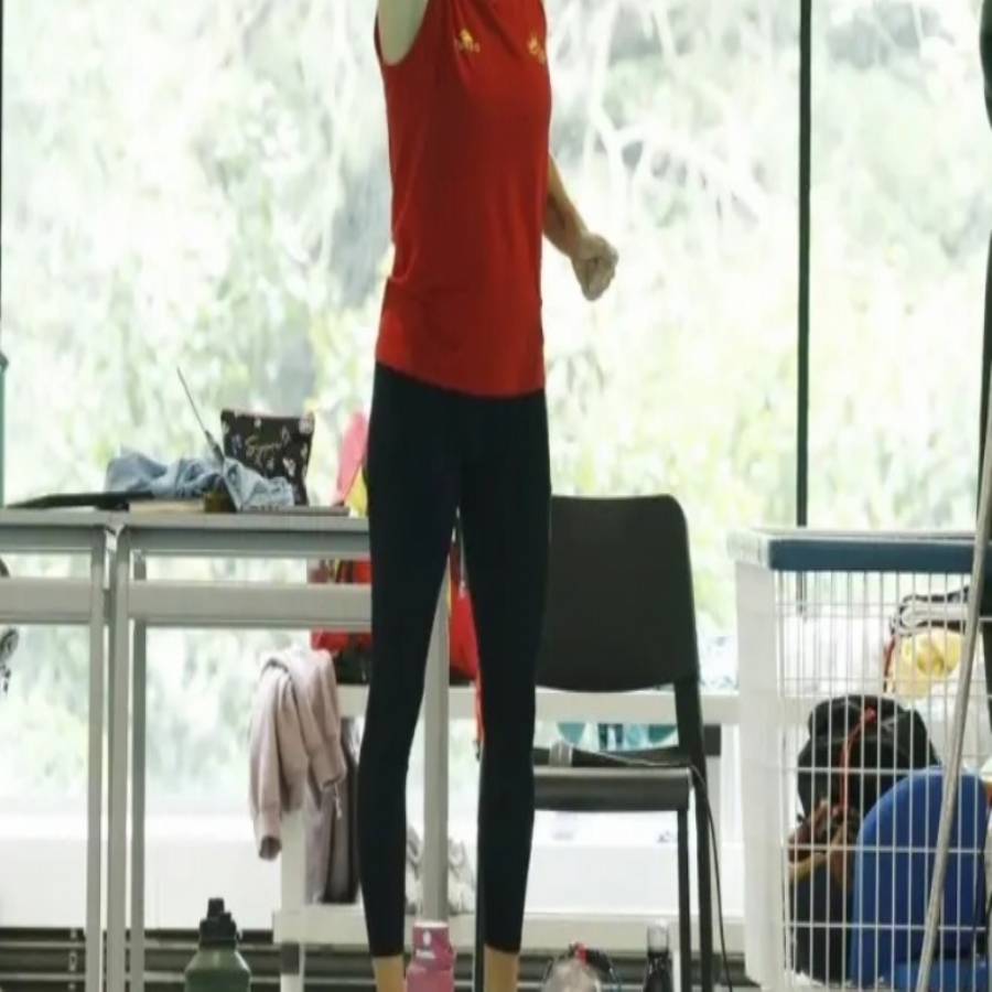 Natación Artística. Andrea Fuentes: 