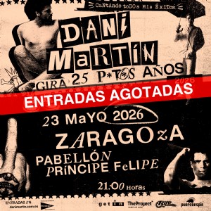 Concierto de Dani Martín