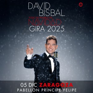 Concierto de David Bisbal